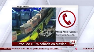 Grupo Modelo produce 100 cebada en México [upl. by Ateval]