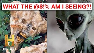 UNBELIEVABLE Eyewitness Alien Encounters  The Proof Is Out There [upl. by Yran24]