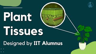 Plant Tissues Explained and Designed by IIT Alumnus [upl. by Rossi170]