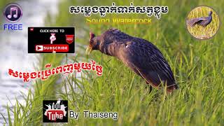 សម្លេងធ្នាក់ទាក់សត្វខ្លុម Cambodia Sound Watercock168 Free Download MP4 [upl. by Einrae395]