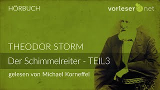 Theodor Storm Der Schimmelreiter  TEIL 3  HÖRBUCH  AUDIOBOOK [upl. by Phelips]