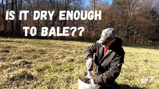 How To Check Hay Moisture Before Baling [upl. by Anoyet748]