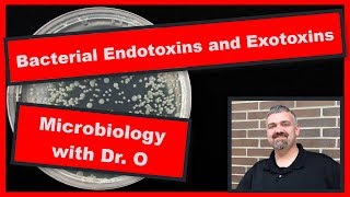 Bacterial Endotoxins and Exotoxins Microbiology [upl. by Cathryn]