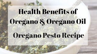 Health Benefits and Uses of Oregano w Oregano Pesto Recipe [upl. by Kohcztiy155]