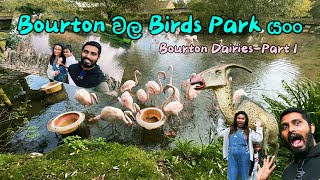 Birds park at Bourton  Bourton වල දවසක් [upl. by Alaehcim]