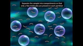 Digital PCR explained in 2 minutesmust watch [upl. by Seem]