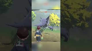 daily shiny hunting clips pokemonlegendsarce [upl. by Nivlek]