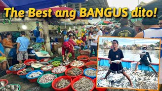 Palengke Tour  Magsaysay Fish Market ng Dagupan City Pangasinan  Bangus Capital [upl. by Irak]