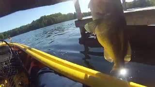 Madawaska River Kayak Fishing [upl. by Cence195]