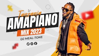 TANZANIA AMAPIANO VIDEO MIX🔥 EPISODE 1  DJ MEALTONE FT DIAMOND PLATNUMZ MARIOO HARMONIZE ETC [upl. by Schiro]