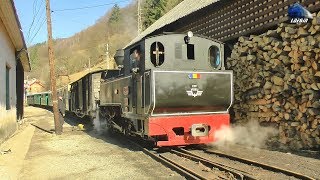 Trenuri CFF amp Activitate FeroviarăCFF Train amp Rail Activity in Gara Vișeu de Sus Station March 2019 [upl. by Irep]