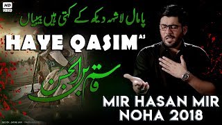 Nohay 2018  Haye Qasim ع  Mir Hasan Mir New Noha 201819  Noha Mola Qasim  Nohay 2019 [upl. by Raffo]