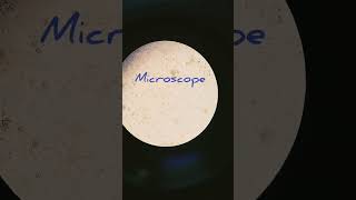 stool examination labtech mlt microscope dmlt science medicallabtechnician medico [upl. by Sunday147]