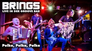 BRINGS  Polka Polka Polka Live Groove Bar [upl. by Gettings943]