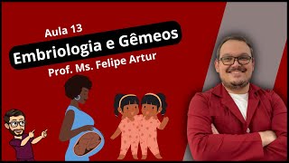 Aula 13  Embriologia e GÃªmeos Anatomia e Fisiologia Humana [upl. by Maressa]