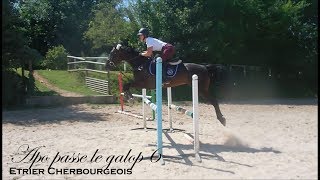 APO PASSE LE GALOP 6  Dressage et Obstacle avec Baie  Etrier Cherbourgeois [upl. by Neehsuan]