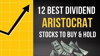 12 Best Dividend Aristocrat Stocks To Buy amp Hold [upl. by Alleoj714]