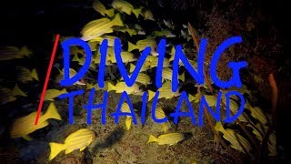 Diving Thailand  Andaman Sea [upl. by Llertnov]