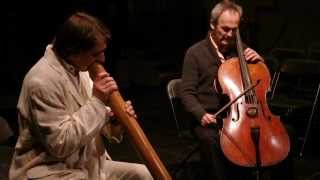 Didgeridoo und Violoncello Improvisationen [upl. by Ivel]