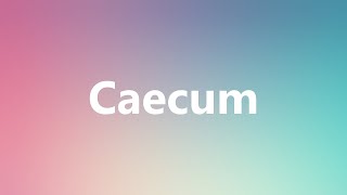 Caecum  Medical Meaning and Pronunciation [upl. by Nirda]