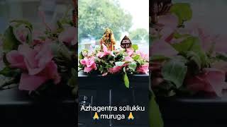 Azhagentra sollukku muruga TMS whatsapp status HD videos [upl. by Anitniuq]