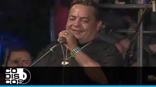 Guararé Tito Gómez  En Vivo [upl. by Reinertson373]