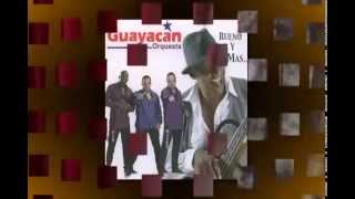 Guayacan Orquesta Cocorobé Salsa Colombiana [upl. by Nawad]