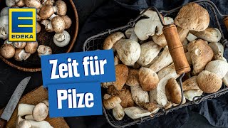 Leckere PilzRezepte  Gerichte mit Pfifferlingen Champignons Steinpilzen und Co [upl. by Nanyk]