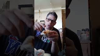 Eating Sonic Fritos Chili Cheese Jr Wrap [upl. by Serle187]