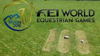 100 days to go  FEI World Equestrian Games 2018  Tryon [upl. by Yleek]