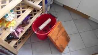 THE BEST Homemade Mouse Trap [upl. by Oad]