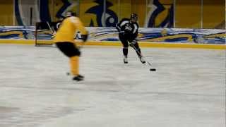 2013 Courage Canada National Blind Hockey Tournament video 3 of 4 [upl. by Lodmilla]