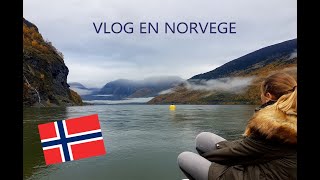 Voyage en Norvège  DOslo à Bergen en passant par les Fjords [upl. by Daniel]