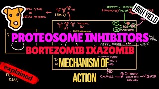 PROTEOSOME INHIBITORS Mechanism of Action Pharmacology Bortezomib Ixazomib Myeloma treatment [upl. by Yehudi928]