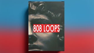 FREE DOWNLOAD 808 LOOPS  808 sample pack quotRoyalty Freequot  2023 [upl. by Atiuqel691]