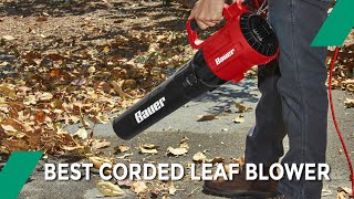 Best Corded Leaf Blower  An Experts Guide [upl. by Cuhp]