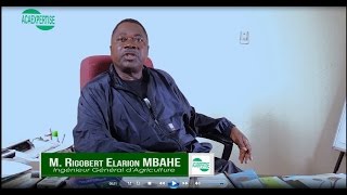 Les Clés du Succès dans lEntrepreneuriat Agricole en Afrique – Avec Rigobert Hilarion Mbahe [upl. by Upshaw]