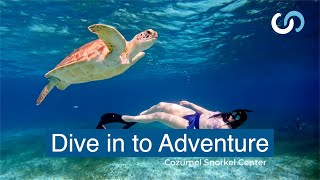 Cozumel Snorkel Center Look for Adventure [upl. by Anadal]