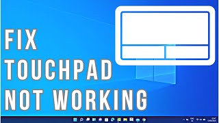 How to Fix Touchpad Not Working on Windows 11 [upl. by Anyale]