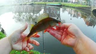 Ultralight en Micro fishing [upl. by Rramahs]