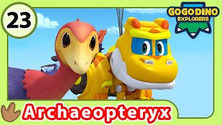 GOGODINO Season 3  E23 Archaeopteryx Wanna Fly High  Dinosaur  Kids Cartoon Toys Animals Videos [upl. by Gerald]