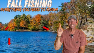 Mastering Fall Bass Fishing Unlocking the Secrets of the 3 Stages [upl. by Everick]