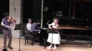 Trio movement for violin viola and piano composed by Alma Deutscher 2014 [upl. by Bardo693]