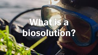 What is a biosolution [upl. by Yahsal]