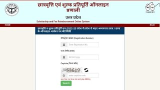 Up scholarship status kaise check kare 2024 [upl. by Naerda520]