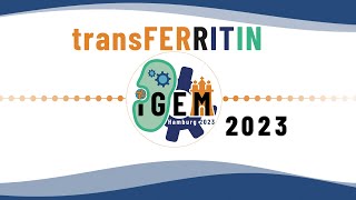 iGEM Hamburg 2023  Presentation Video  transFERRITIN [upl. by Mikael238]