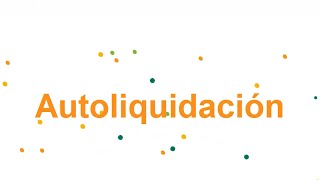 Autoliquida con Aportes en Línea [upl. by Racklin]