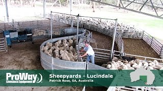 ProWay Sheepyards  Lucindale South Australia [upl. by Hsatan]