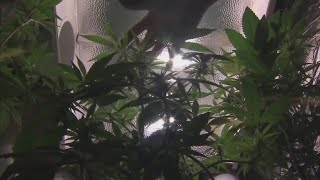 Ohioans excited for first day of recreational marijuana sales [upl. by Conlan]