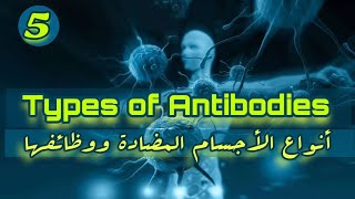 Types of antibodies  Antibody Structure amp Function  Immunology شرح بالعربي [upl. by Valerlan]